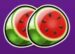 Symbol Melouny automatu Fruits go Pop od Tom Horn Gaming