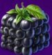 Symbol Kostka z ostružin automatu Fluxberry od Tom Horn Gaming