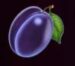 Symbol Švestka automatu Hot’n’Fruity od Tom Horn Gaming