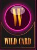 Symbol WILD Symbol automatu WILD CARD od Casimi