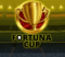 fortuna cup náhled