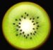 Symbol Kiwi automatu Wild Wild Best od Casimi