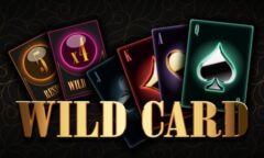 WILD CARD od Casimi