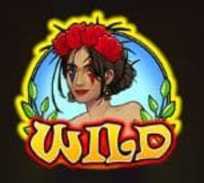 Symbol WILD automatu Hot Hot 4 od Kajot
