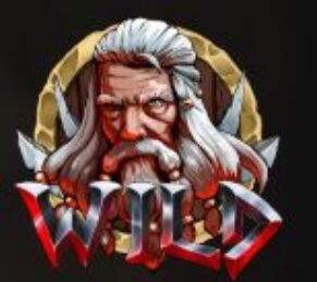 Symbol WILD symbol automatu Vikings II od Kajot