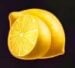 Symbol Citron automatu Simply Hot 40 od Kajot
