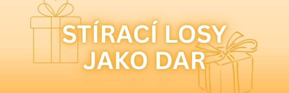 Přemýšlel jsi někdy na stíracími losy jako nad dary vhodnými ke svatbě či narozeninám?