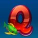 Symbol Písmeno Q automatu Rich Fish od Apollo Games
