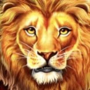 Symbol WILD symbol automatu Safari King od Pragmatic Play