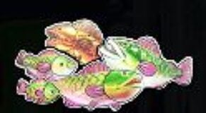 Symbol Money symbol automatu Bigger Bass Blizzard – Christmas Catch od Pragmatic Play