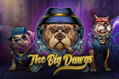 The Big Dawgs od Pragmatic Play