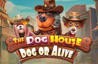 The Dog House – Dog or Alive od Pragmatic Play