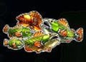 Symbol Money symbol automatu Big Bass Mission Fishin od Pragmatic Play