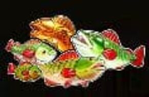 Symbol Money symbol automatu Big Bass Secrets of the Golden Lake od Pragmatic Play