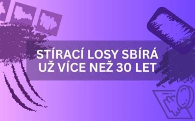 Paní Ivana sbírá stírací losy už více než 30 let.