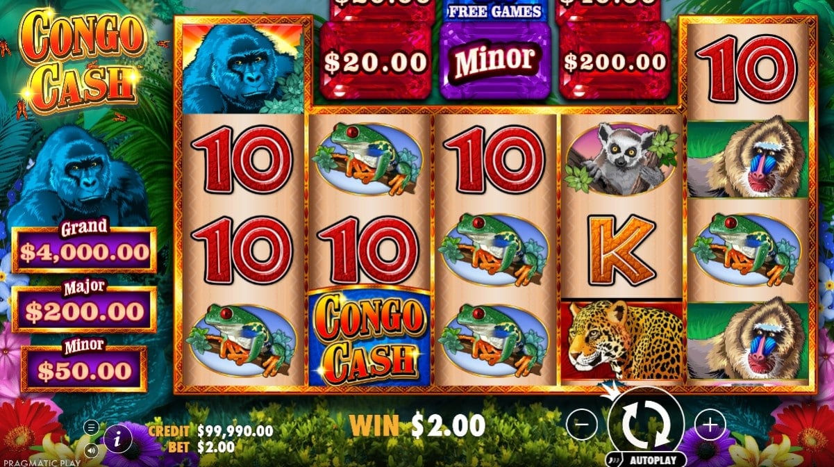 Congo cash automat demo