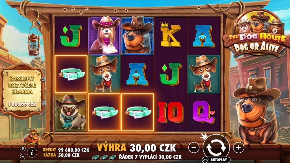 Téma a symboly The Dog House - Dog or Alive