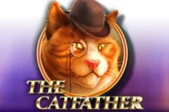 The Catfather od Pragmatic Play
