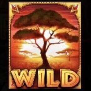 Symbol WILD symbol automatu The Ultimate 5 od Pragmatic Play