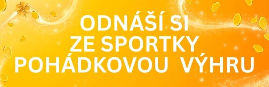 Díky náhodnému tipu vyhrál nejvyšší letošní výhru ve Sportce!