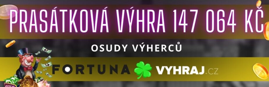 Výhra u Fortuny 147 064 Kč