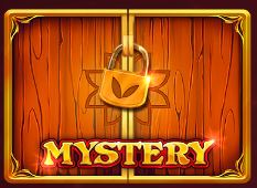 Mystery 12 Coins