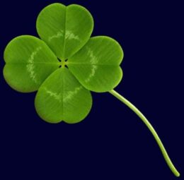 Čtyřlístek u Allwyn