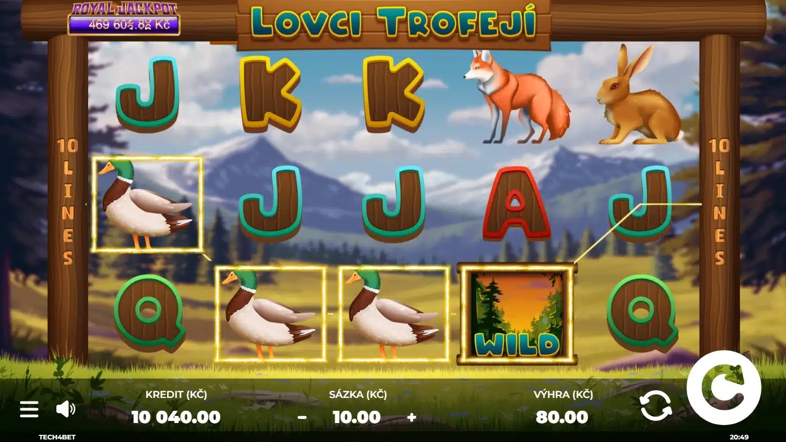 lovci-trofeji-kachny