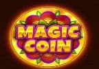 Magic Coin Bumba Meu Boi Coin