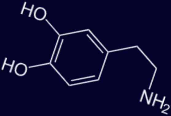 dopamin