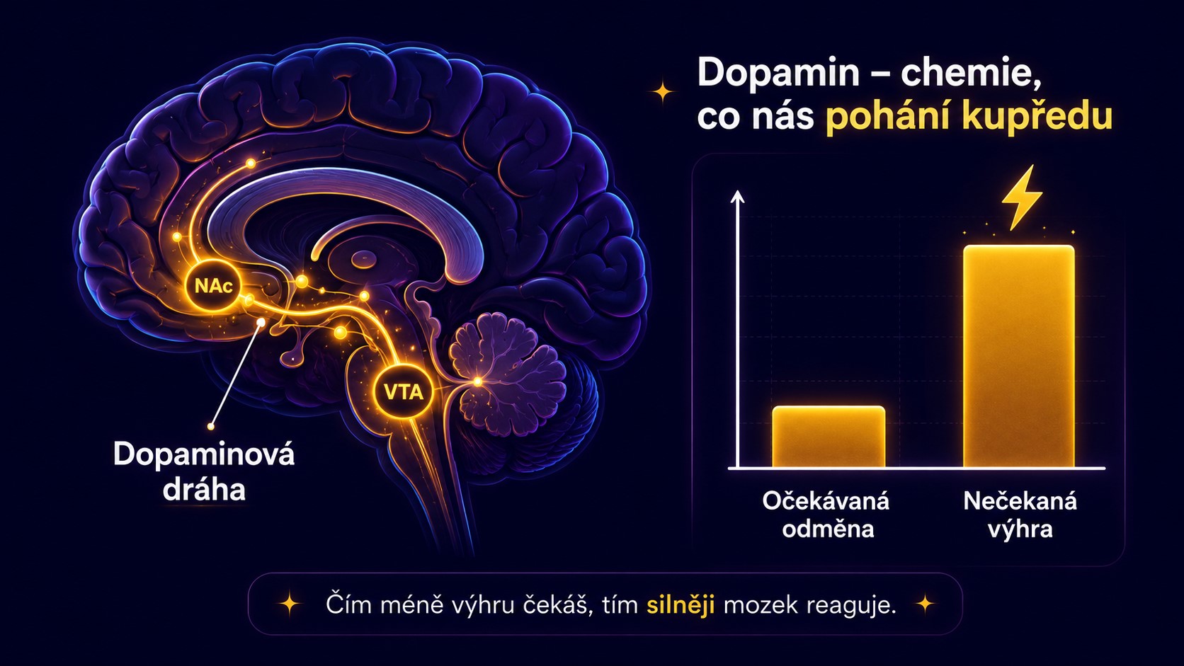 Infografika k článku Psychologie hazardu