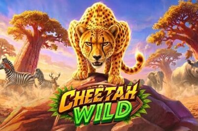 Cheetah Wild od Pragmatic Play